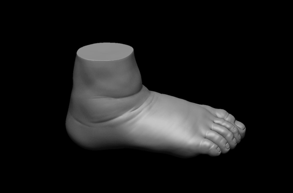 4 different feet  with high poly 3D model 3D model_13