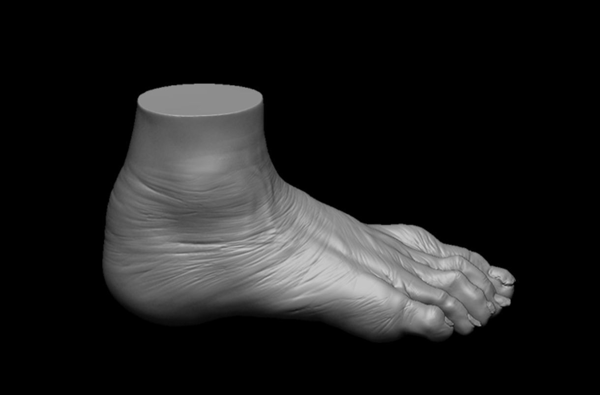 4 different feet  with high poly 3D model 3D model_19