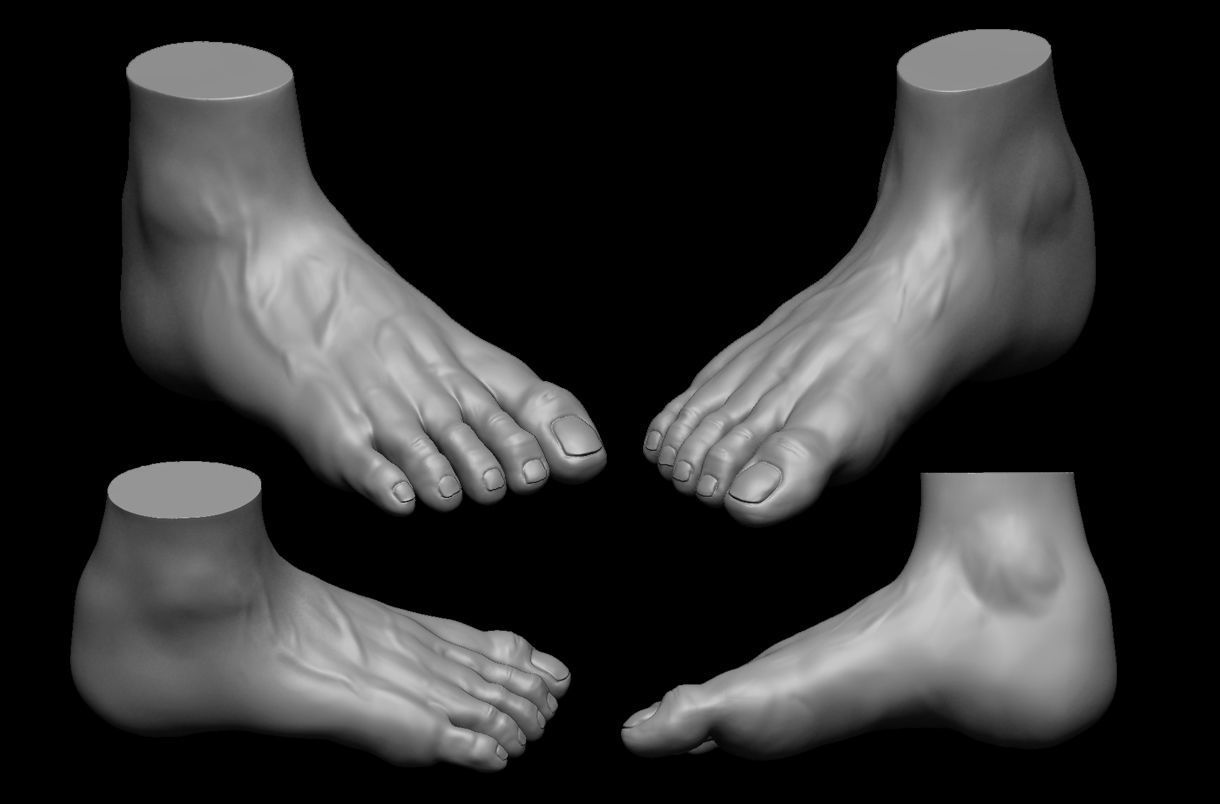 4 different feet  with high poly 3D model 3D model_6