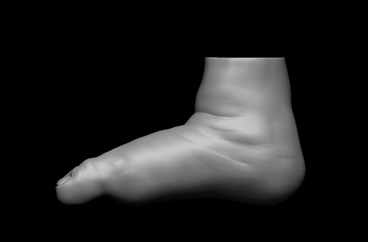 4 different feet  with high poly 3D model 3D model_15