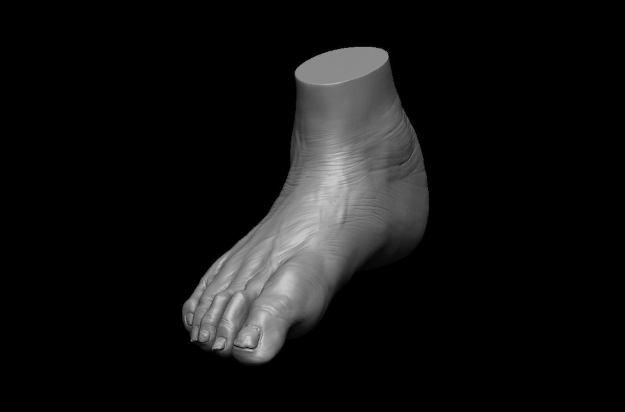 4 different feet  with high poly 3D model 3D model_17