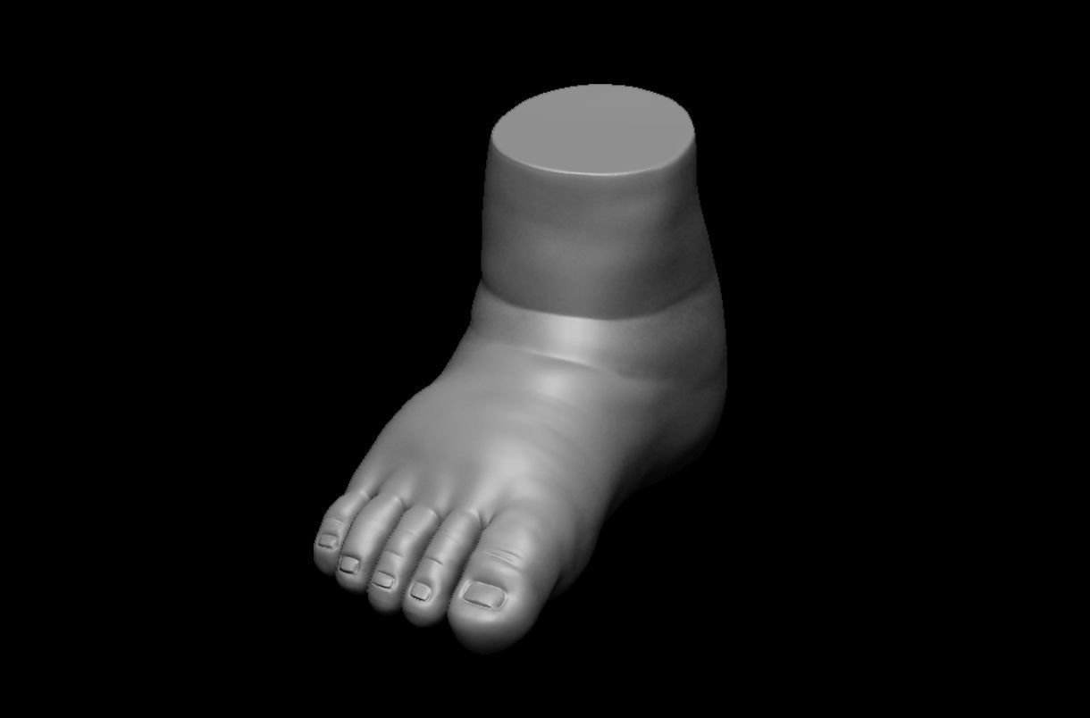 4 different feet  with high poly 3D model 3D model_2