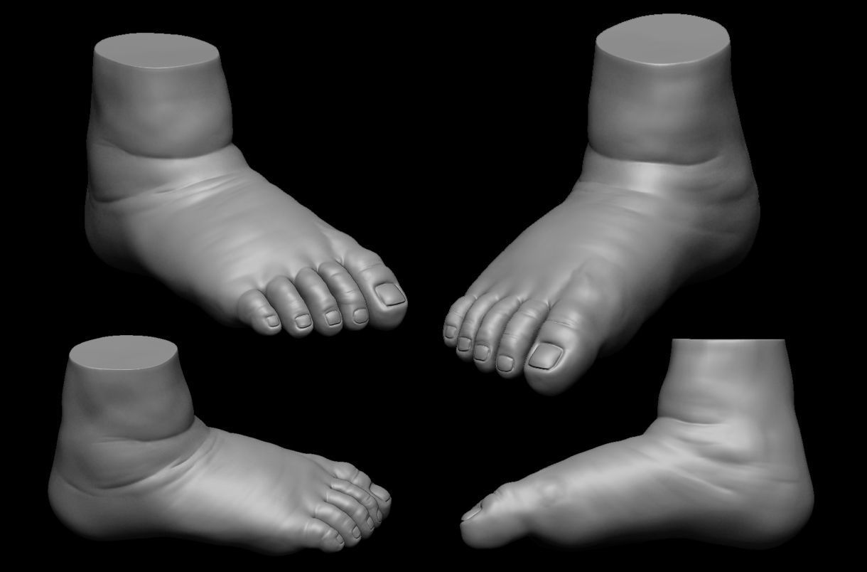 4 different feet  with high poly 3D model 3D model_11
