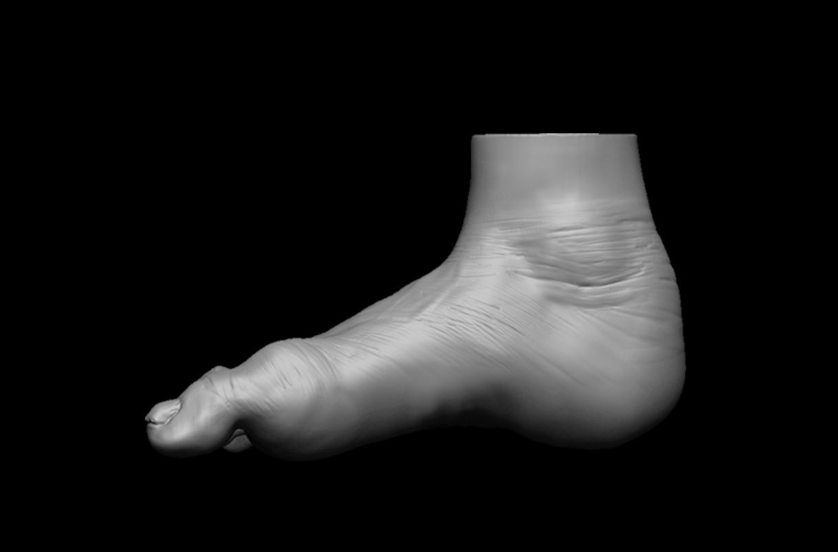 4 different feet  with high poly 3D model 3D model_18
