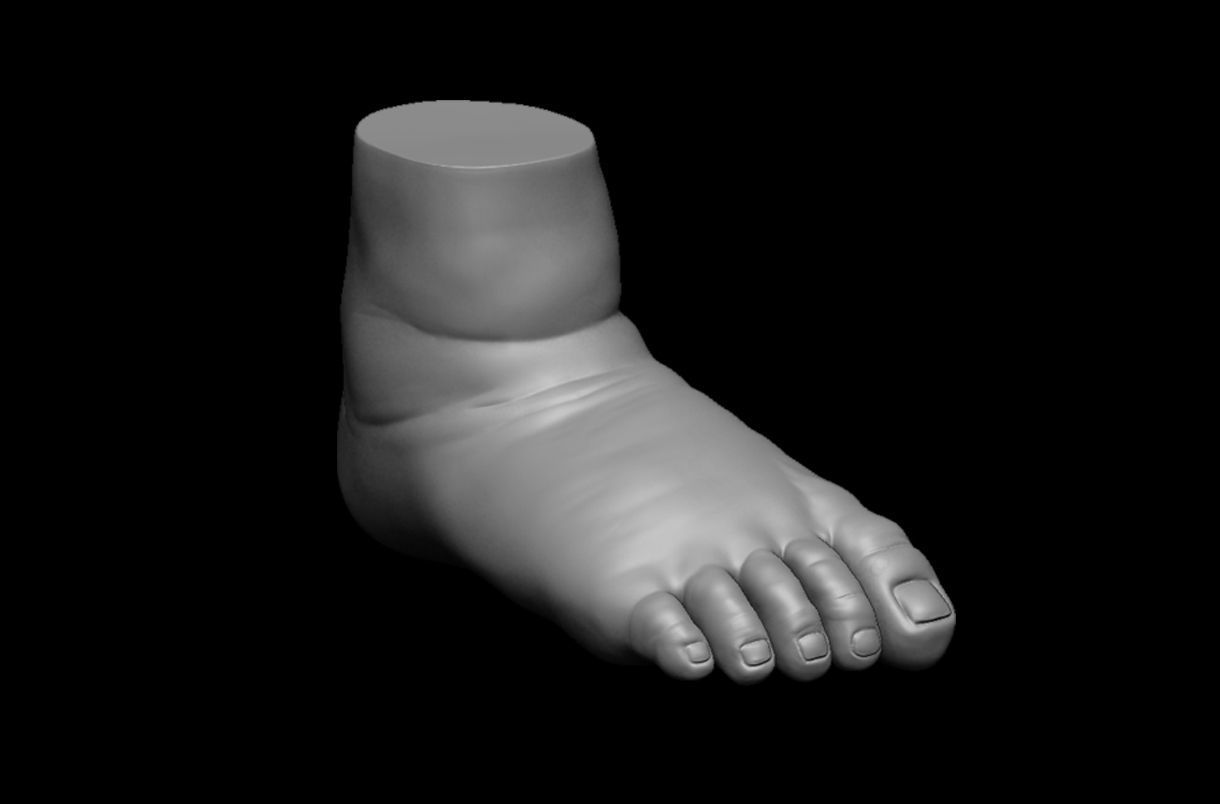 4 different feet  with high poly 3D model 3D model_14