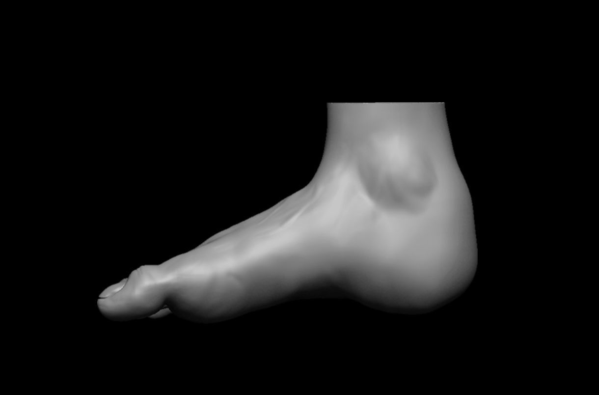 4 different feet  with high poly 3D model 3D model_8