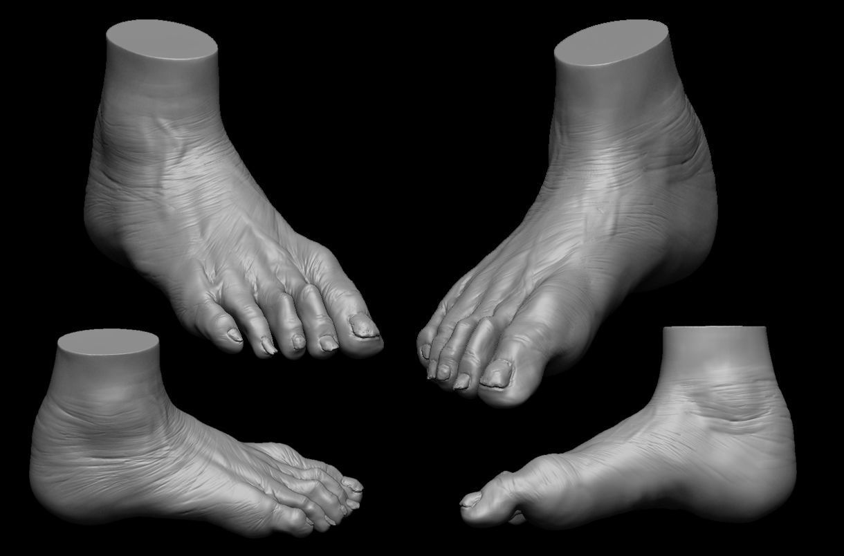 4 different feet  with high poly 3D model 3D model_16