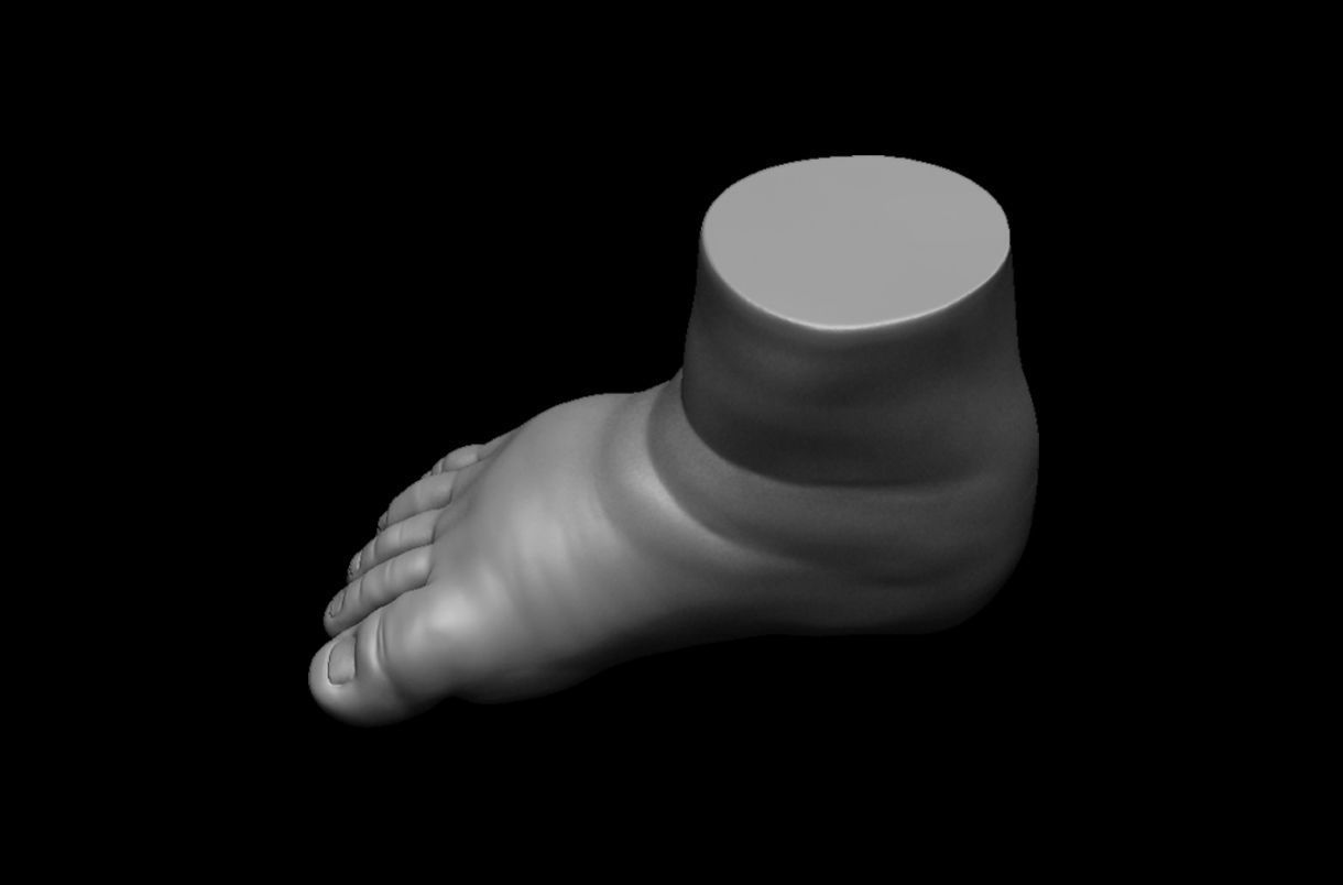 4 different feet  with high poly 3D model 3D model_3