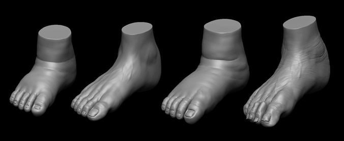 4 different feet  with high poly 3D model 3D model