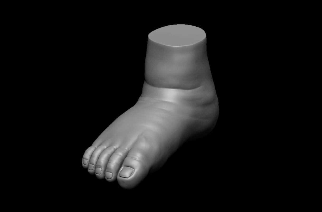4 different feet  with high poly 3D model 3D model_12
