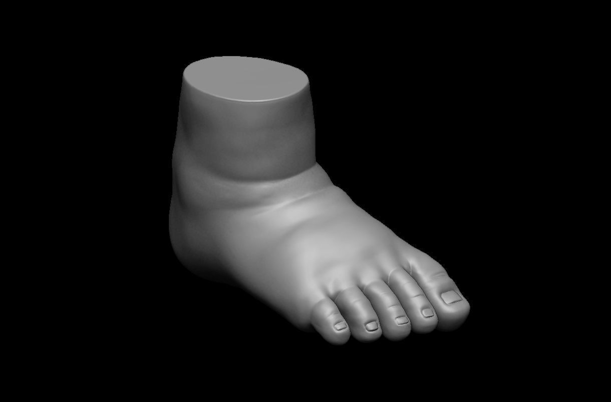 4 different feet  with high poly 3D model 3D model_5