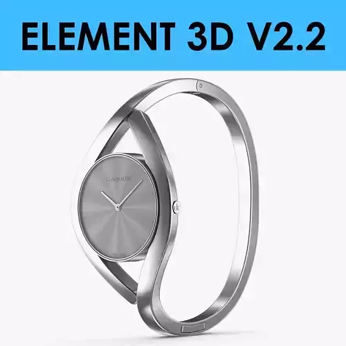 E3D - Calvin Klein Party Watch