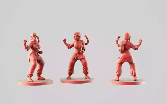 Xin martial arts teacher 3D print model