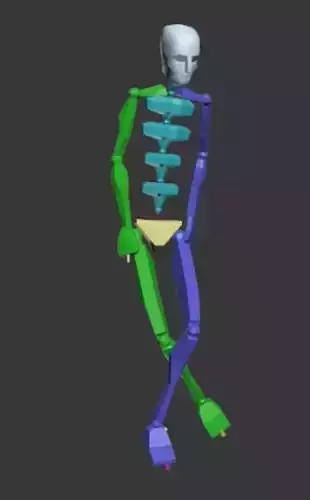 Rabona 2 skeleton