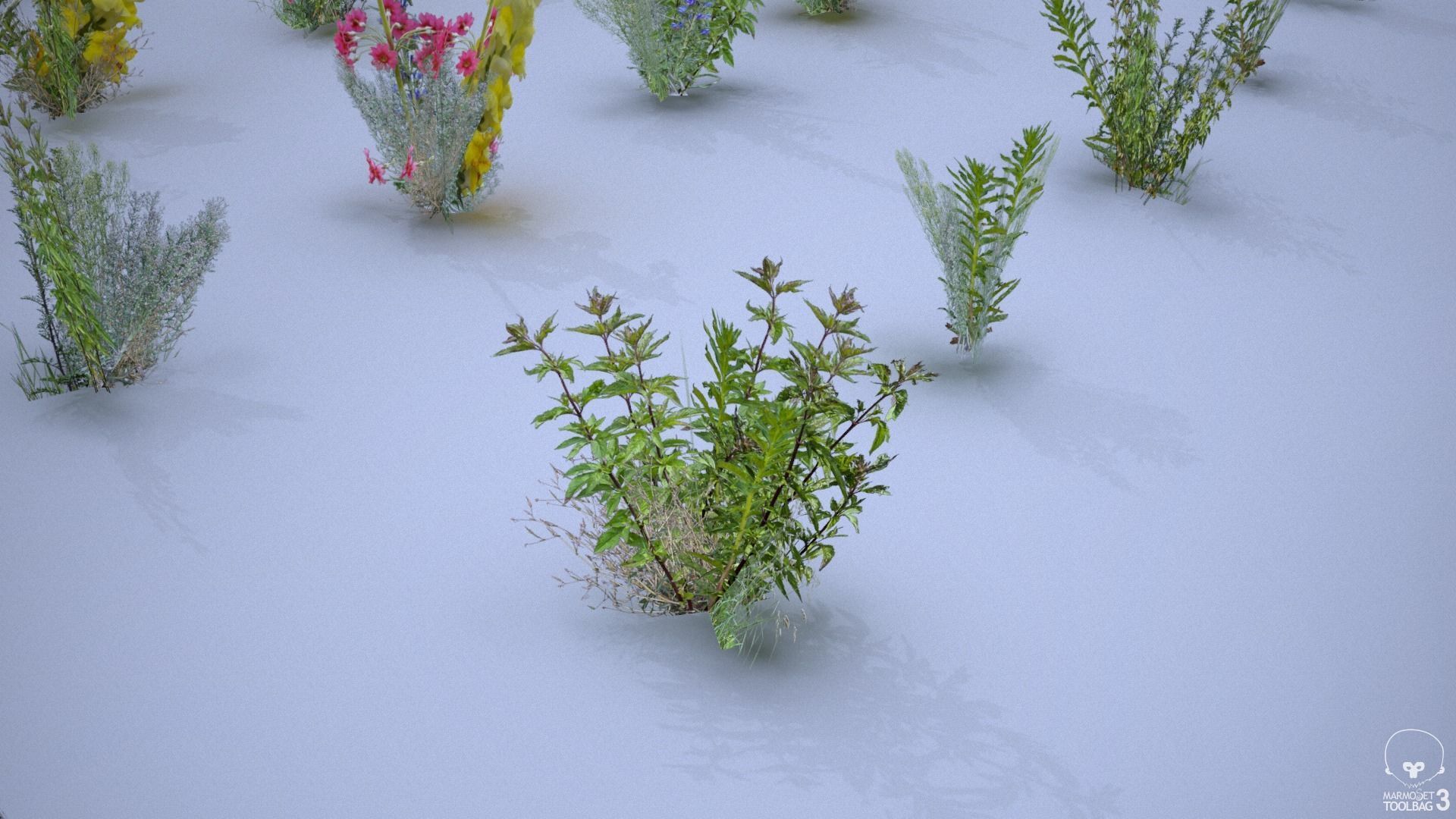 33 Plant Collection Game Ready Low Poly Low-poly 3D model_5