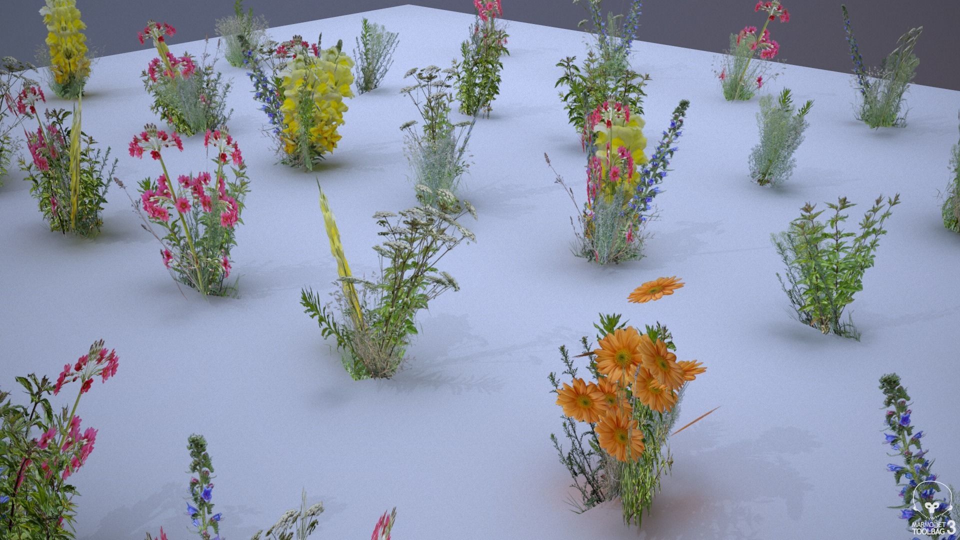 33 Plant Collection Game Ready Low Poly Low-poly 3D model_3