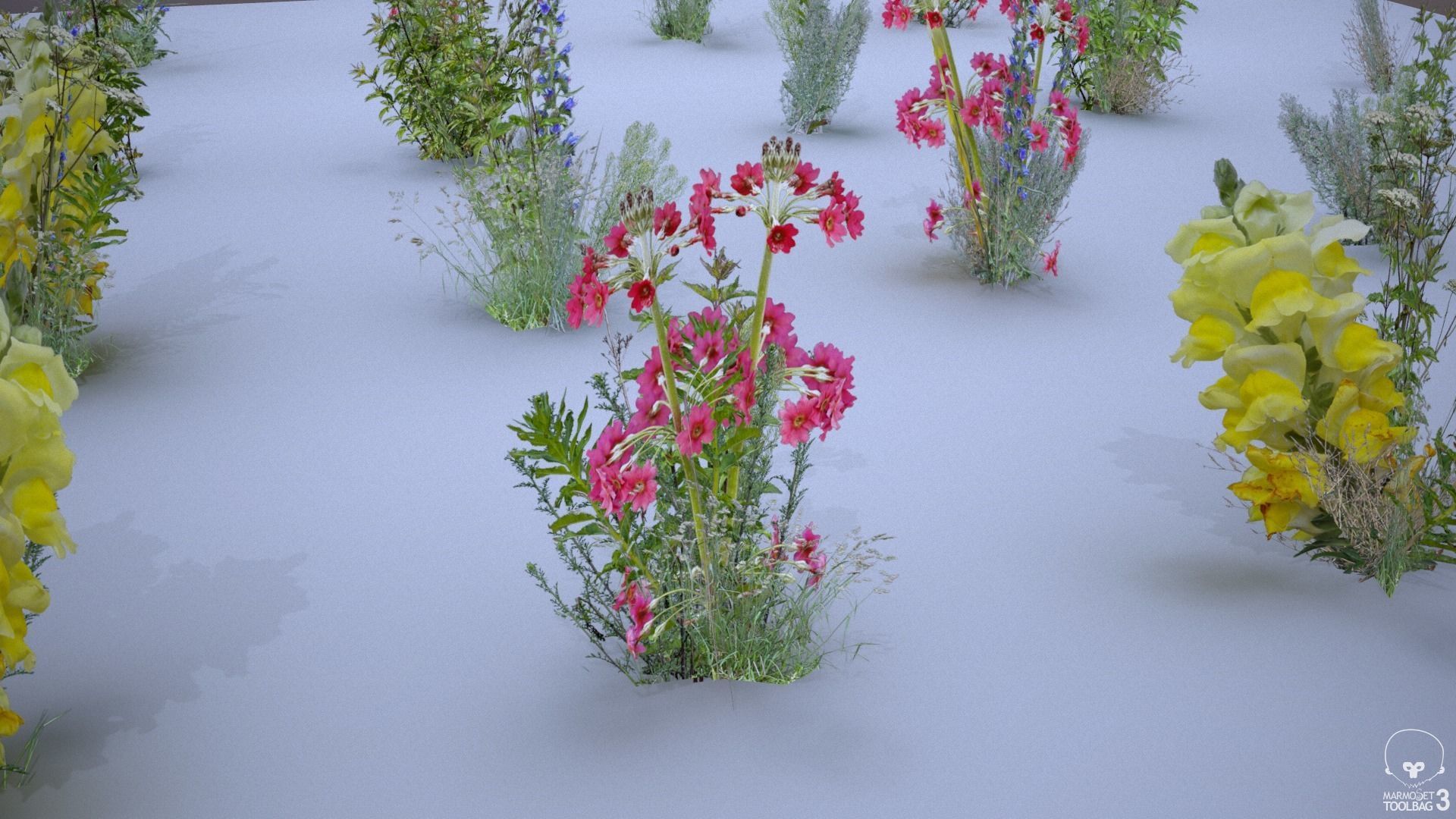 33 Plant Collection Game Ready Low Poly Low-poly 3D model_4