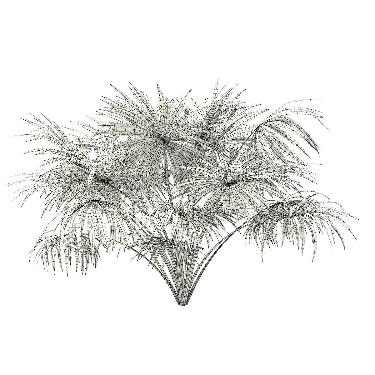 Thatch Palm Tree 3D Model 2m 3D model_1