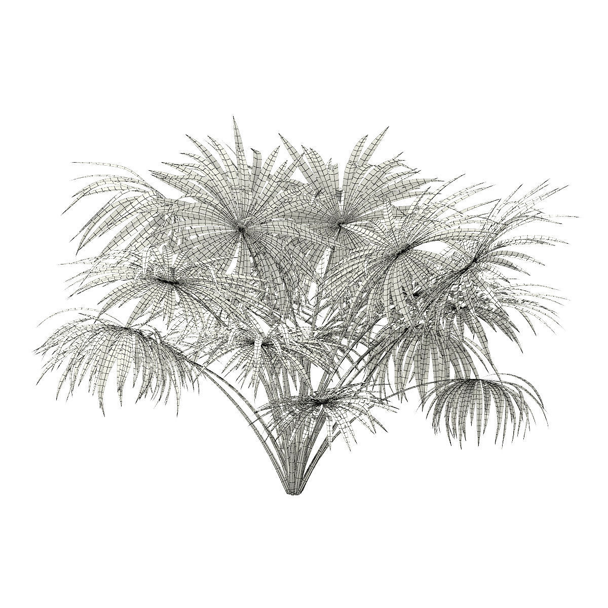 Thatch Palm Tree 3D Model 2m 3D model_5