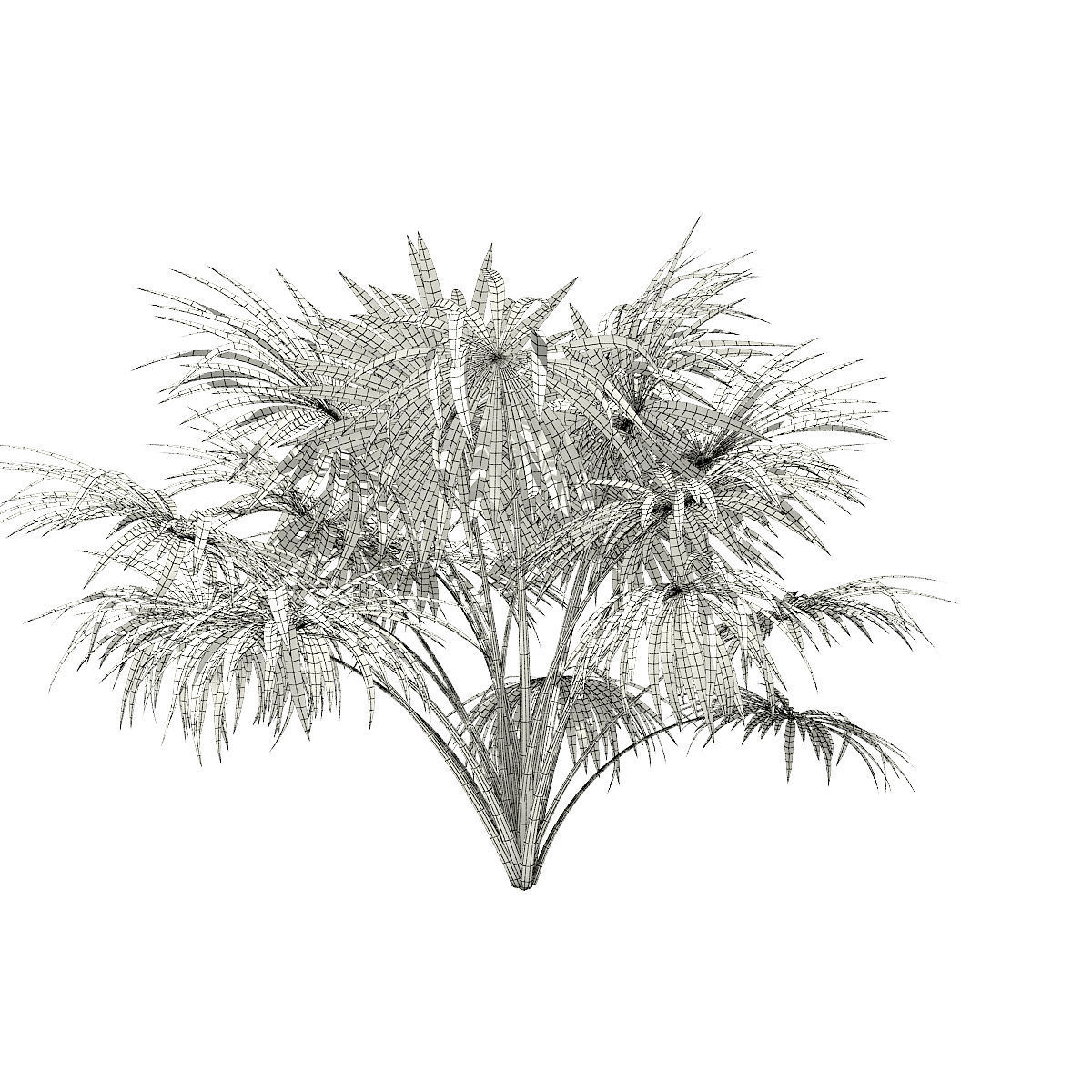 Thatch Palm Tree 3D Model 2m 3D model_3