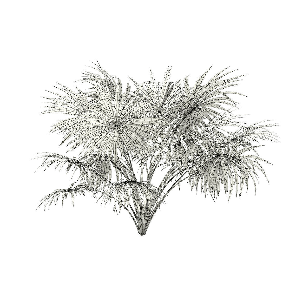Thatch Palm Tree 3D Model 2m 3D model_7