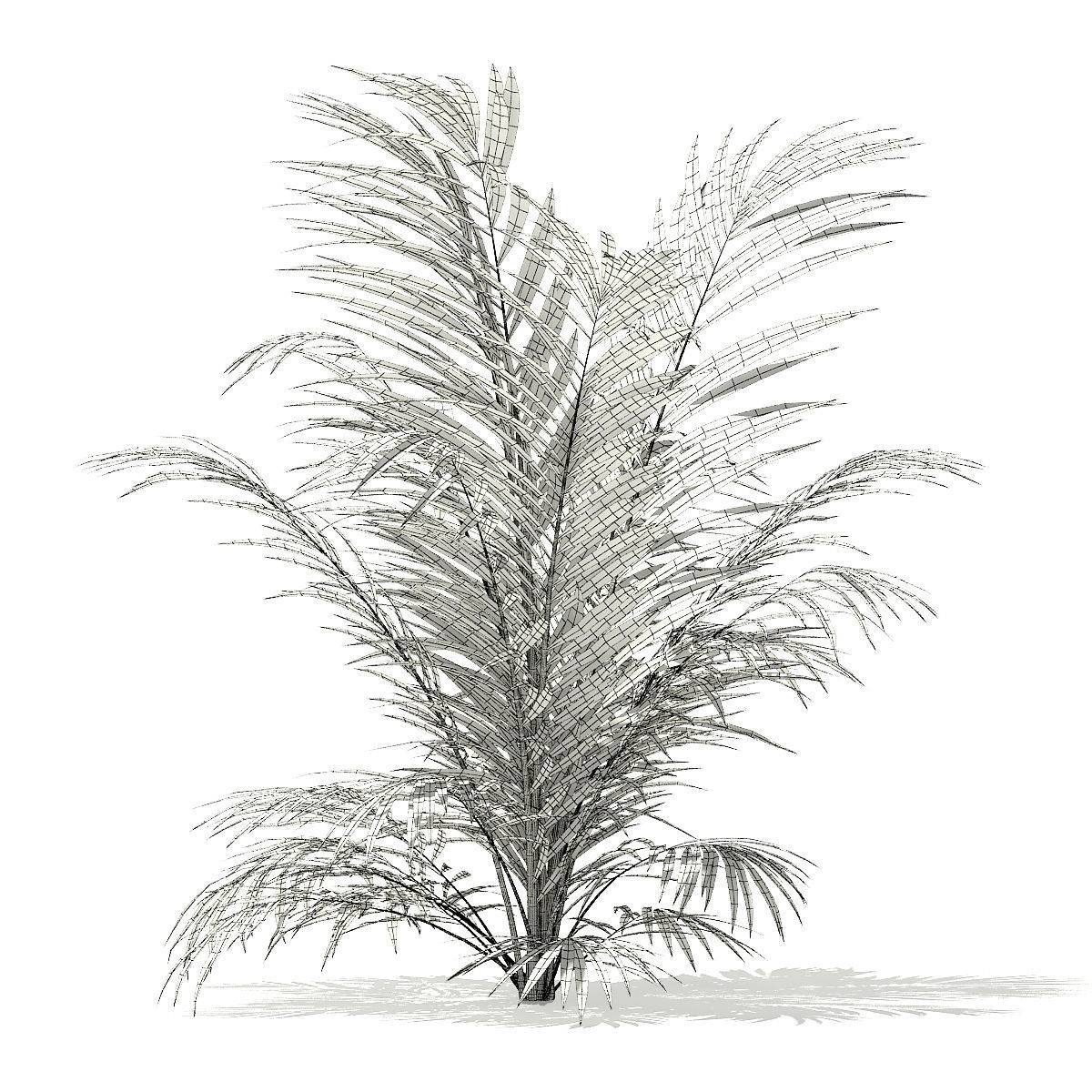 Golden Cane Palm Tree 3D Model 2m 3D model_5