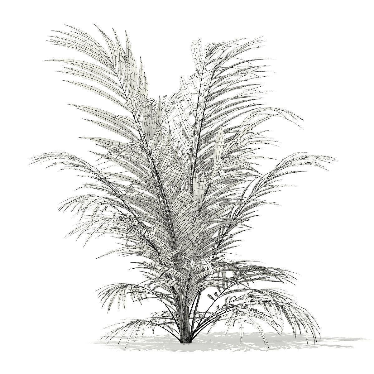 Golden Cane Palm Tree 3D Model 2m 3D model_1