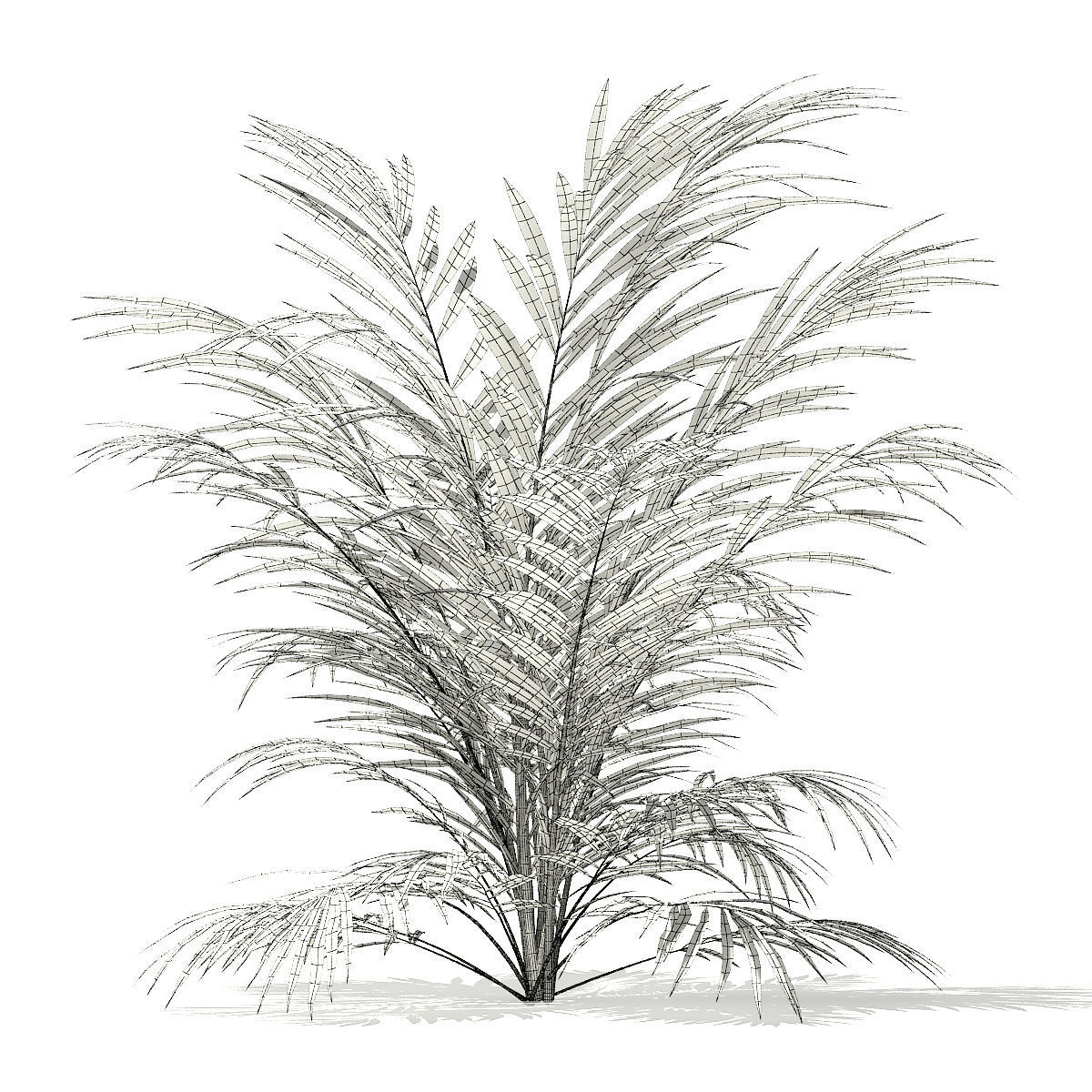 Golden Cane Palm Tree 3D Model 2m 3D model_3