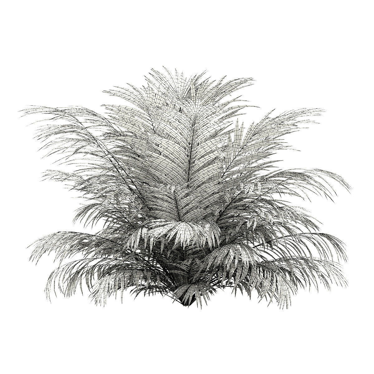 Golden Cane Palm Tree 3D Model 3m 3D model_3