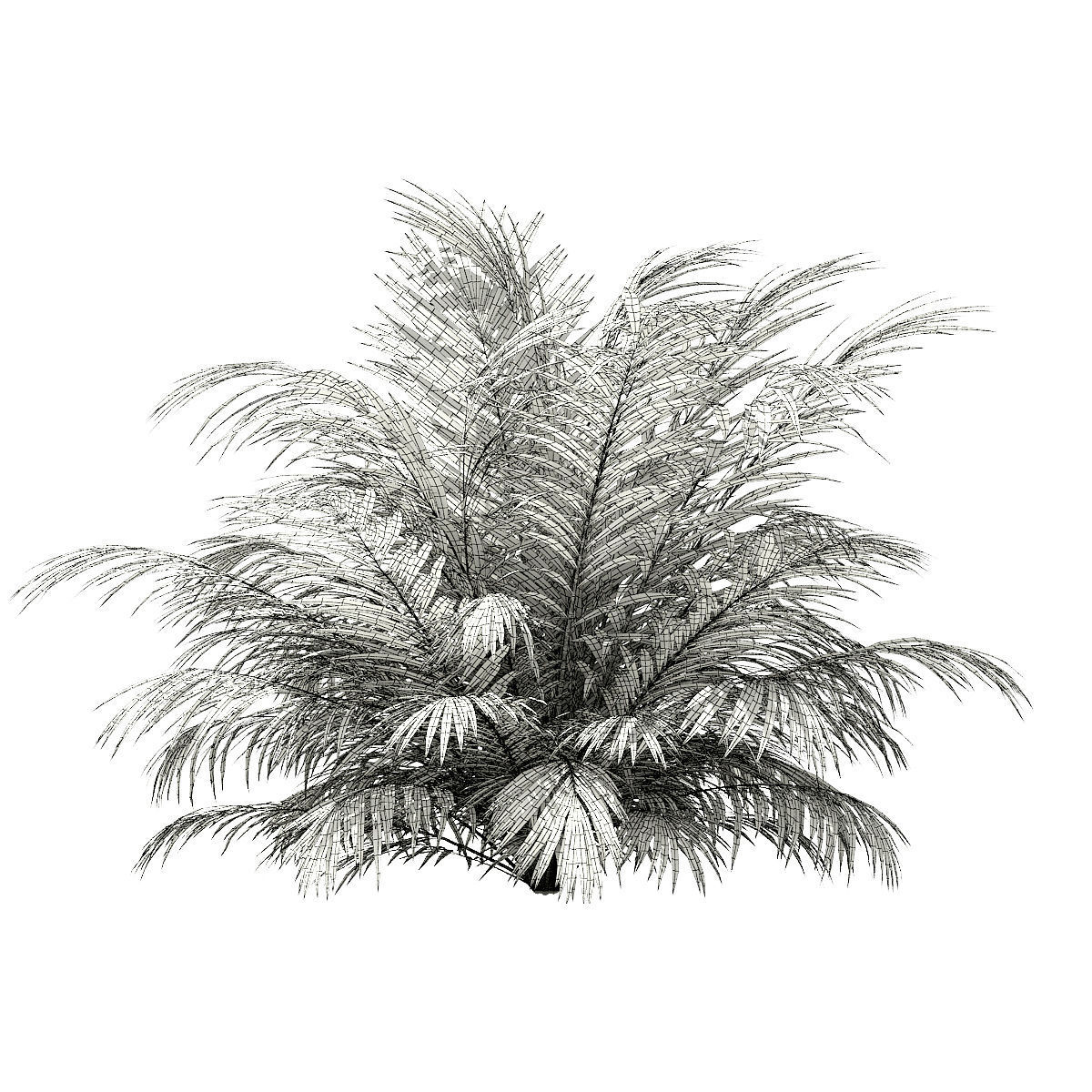 Golden Cane Palm Tree 3D Model 3m 3D model_1