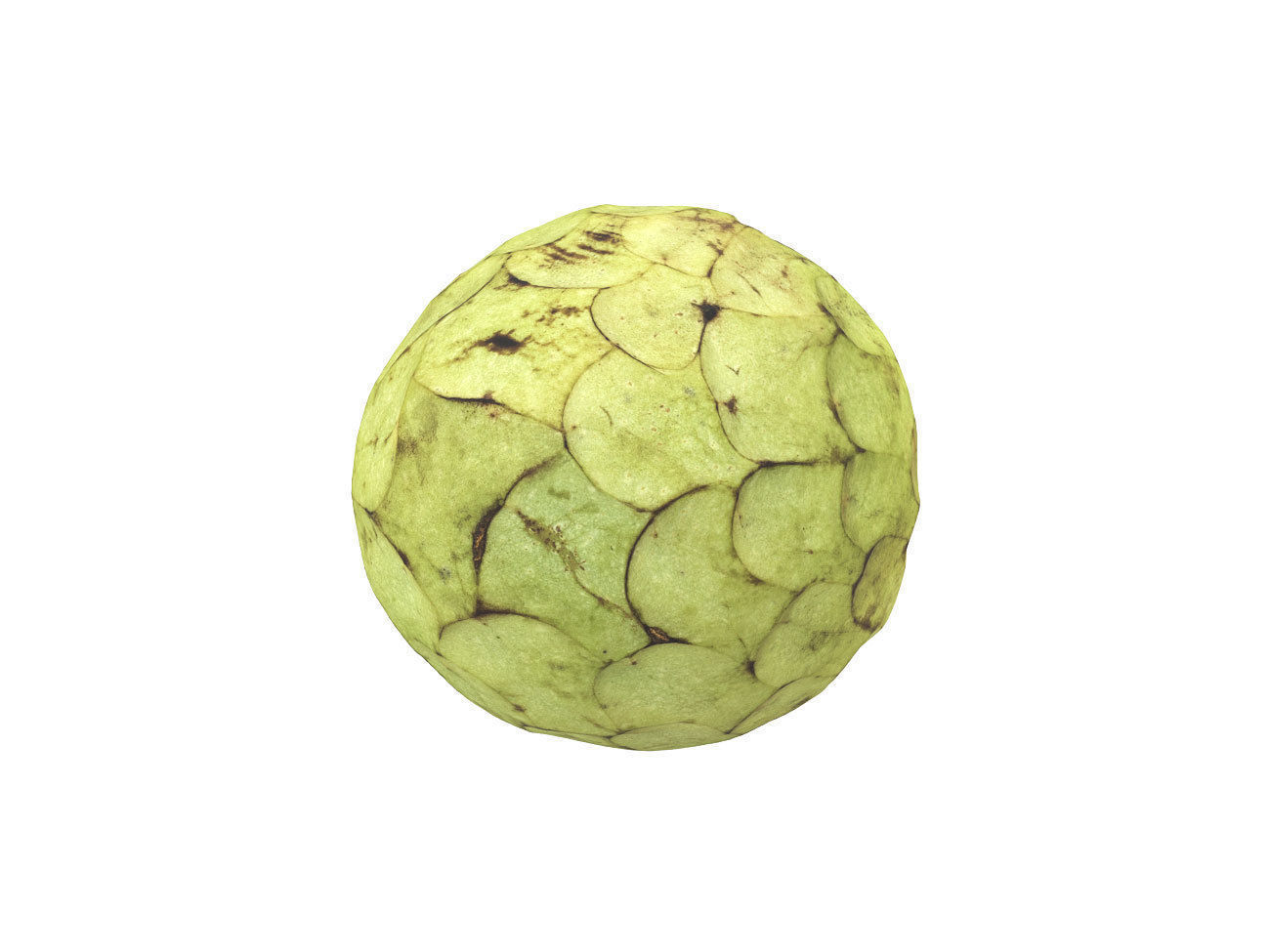 Photorealistic Cherimoya 3D Scan 6 3D model_6