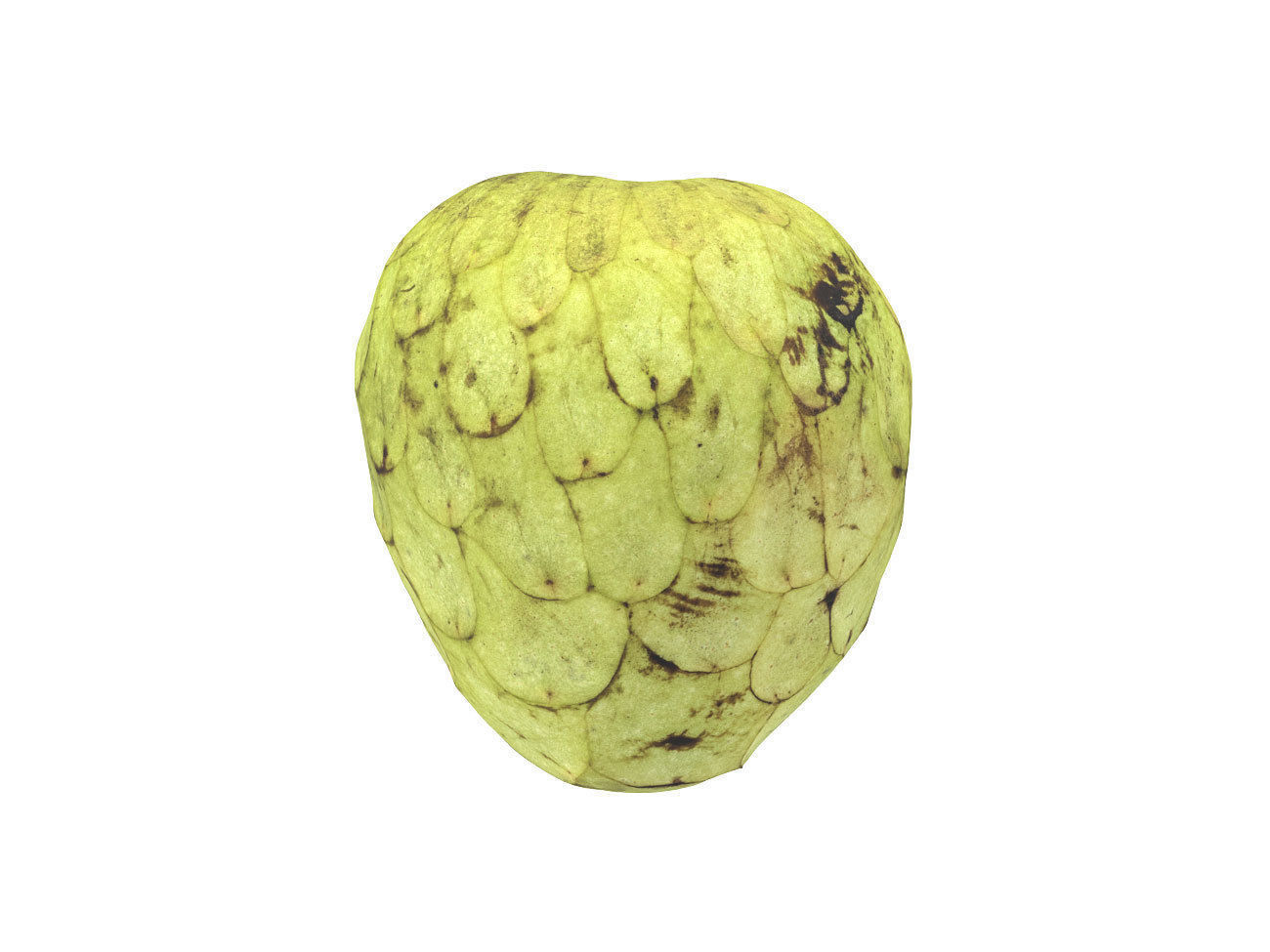 Photorealistic Cherimoya 3D Scan 6 3D model_3