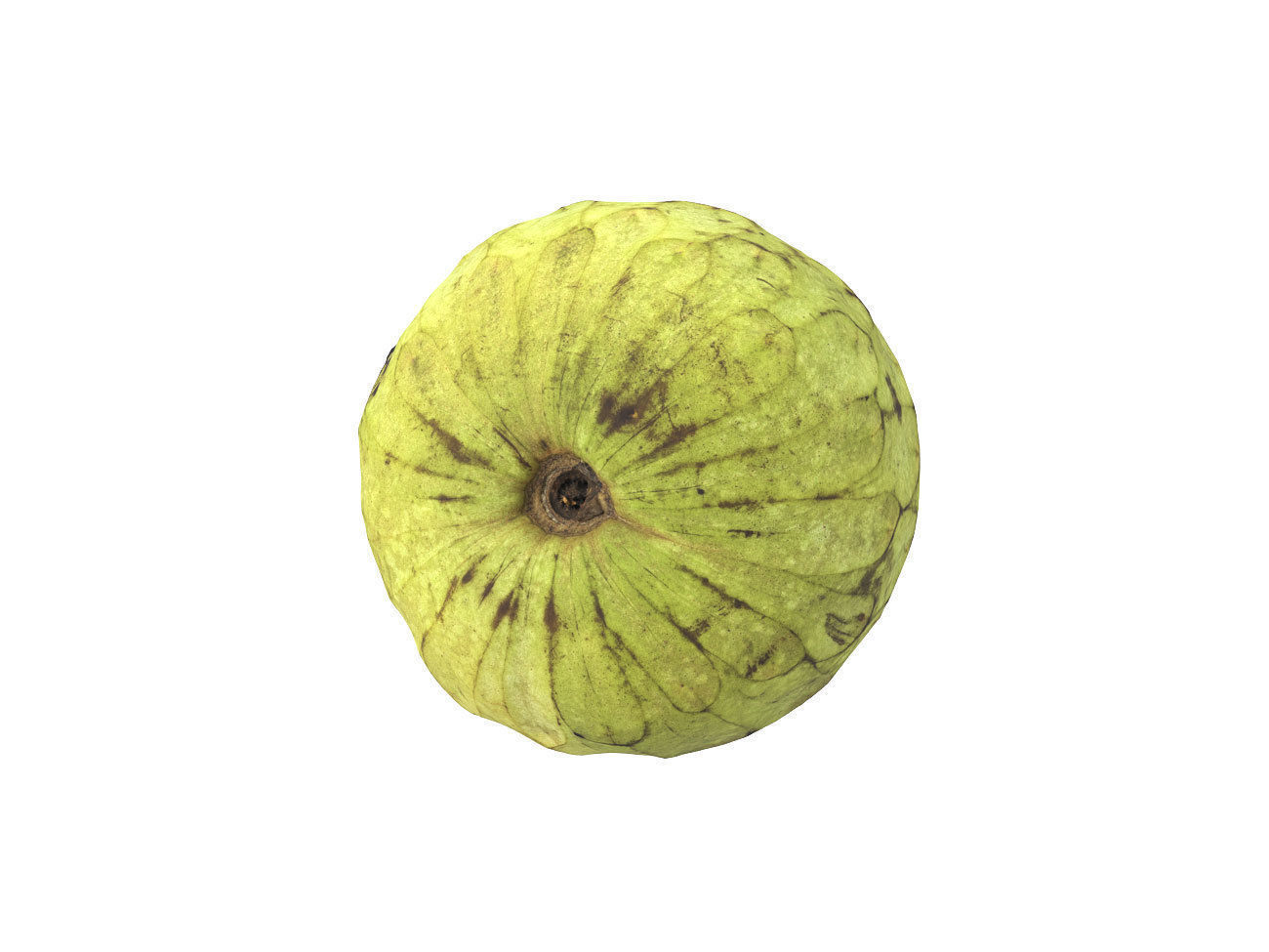 Photorealistic Cherimoya 3D Scan 6 3D model_5