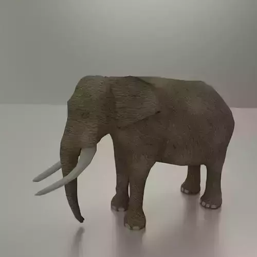Elephant with long tusks Low-poly 3D model
