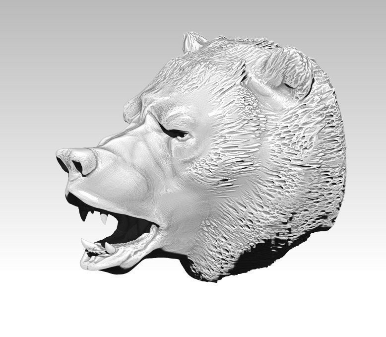 Angry bear head grizzly 3D print model_1