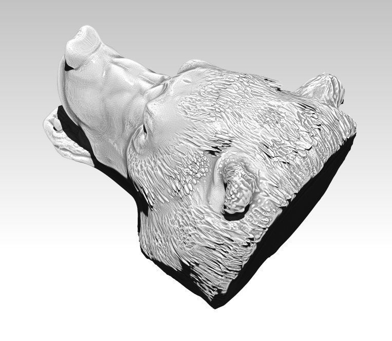 Angry bear head grizzly 3D print model_3