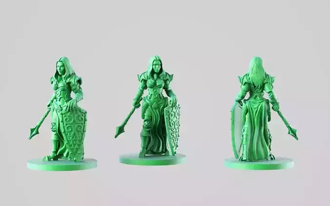 Paladin girl 3D print model