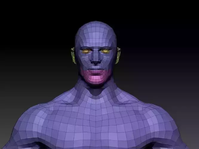 Male Body Basemesh - Lowpoly - 3D model Low-poly 3D model