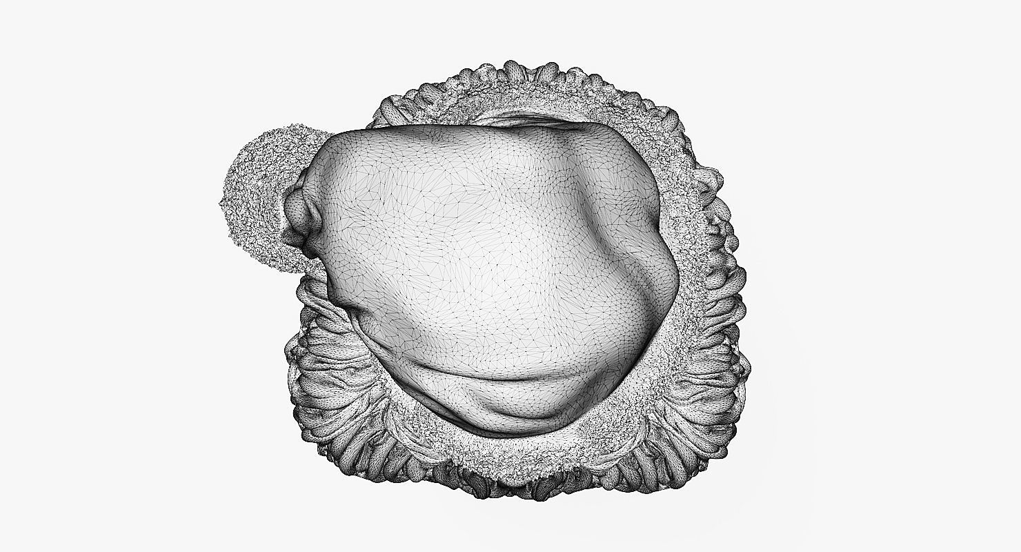 Santa Claus 3d Printable Bust 3D print model_11