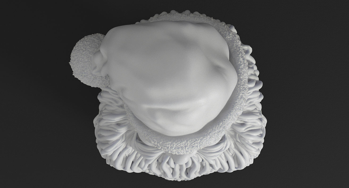 Santa Claus 3d Printable Bust 3D print model_3