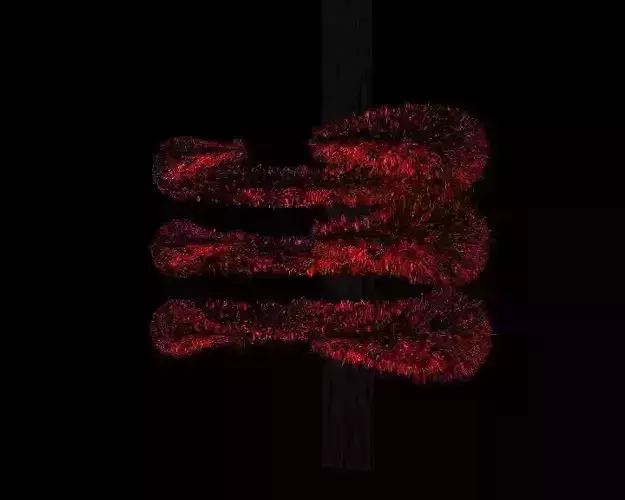 Alien Exoskeletal Torso Armor Arachnipien