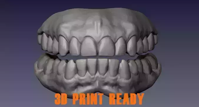 Real Teeth 3d scan for 3d print 3D print model