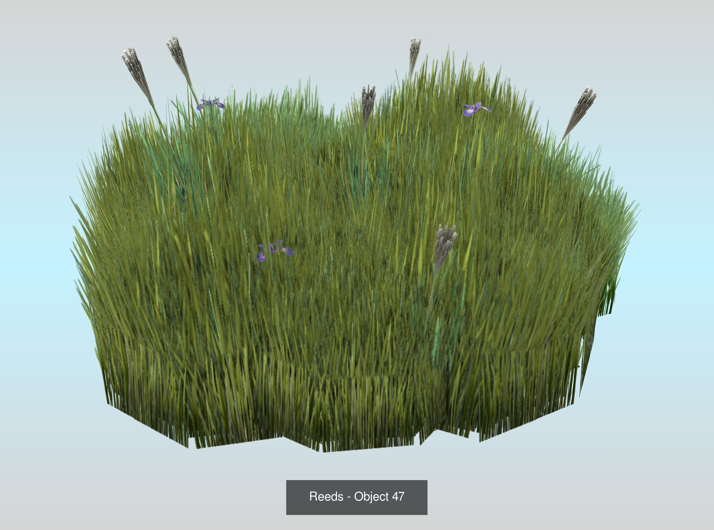 Low-Poly Reeds and Bushes 3D Model Collection_81