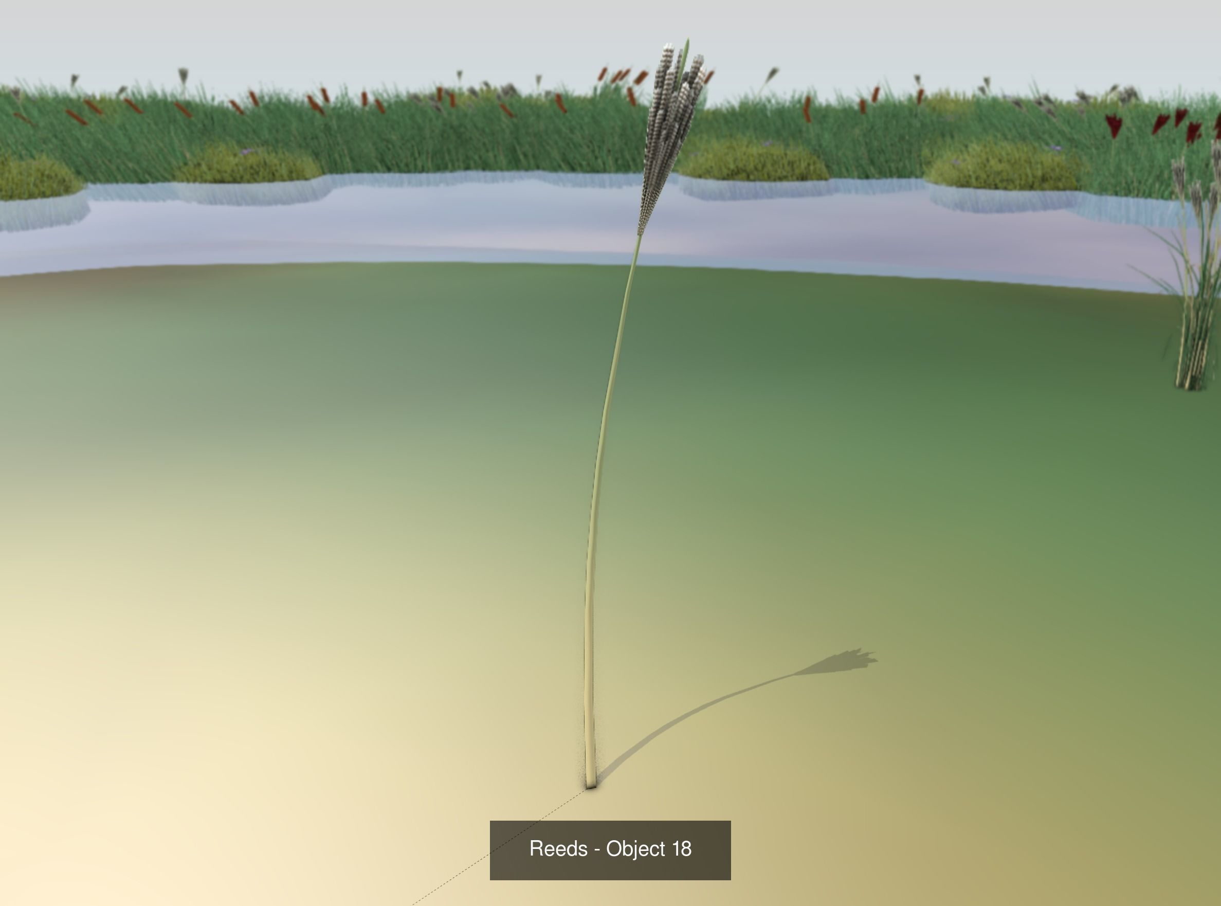 Low-Poly Reeds and Bushes 3D Model Collection_52