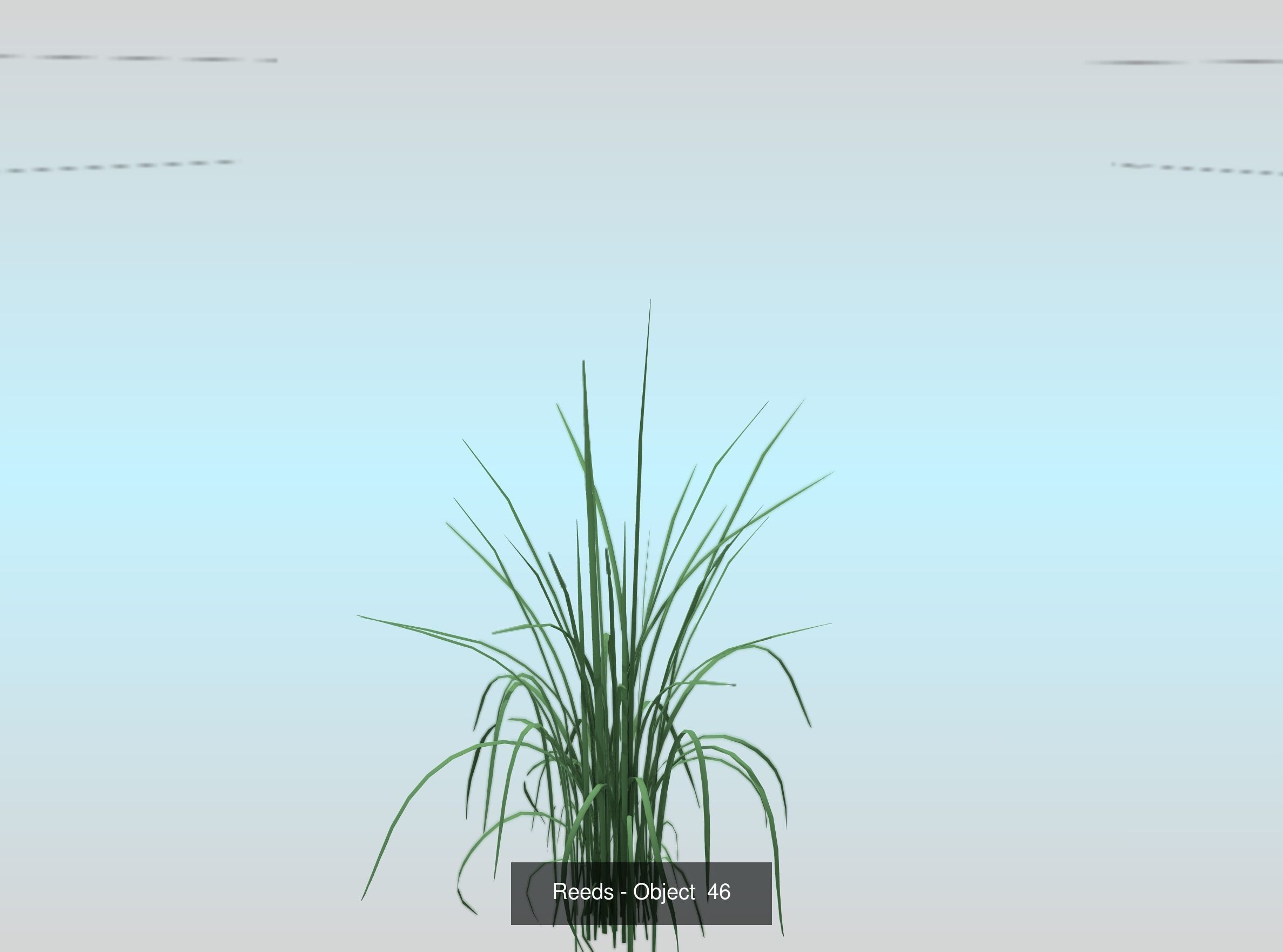 Low-Poly Reeds and Bushes 3D Model Collection_80
