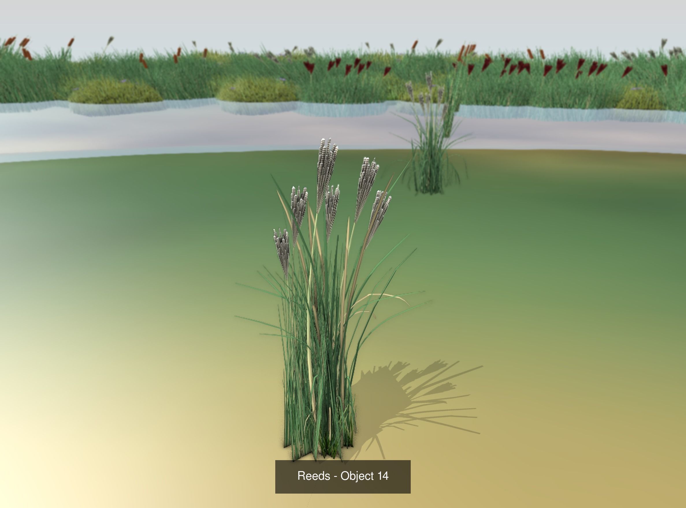 Low-Poly Reeds and Bushes 3D Model Collection_48