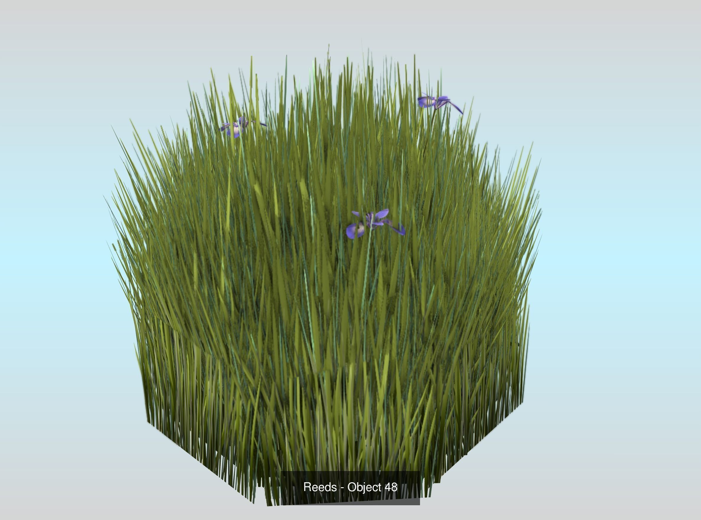 Low-Poly Reeds and Bushes 3D Model Collection_82