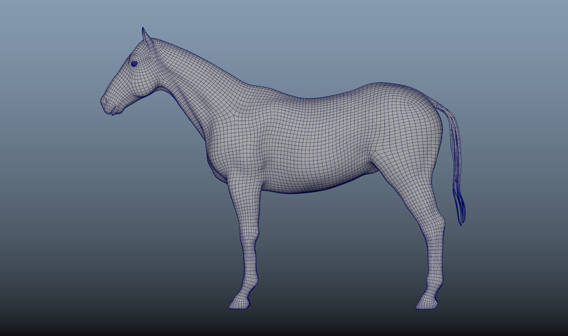 Realistic Horse Zbrush File 3D model_6