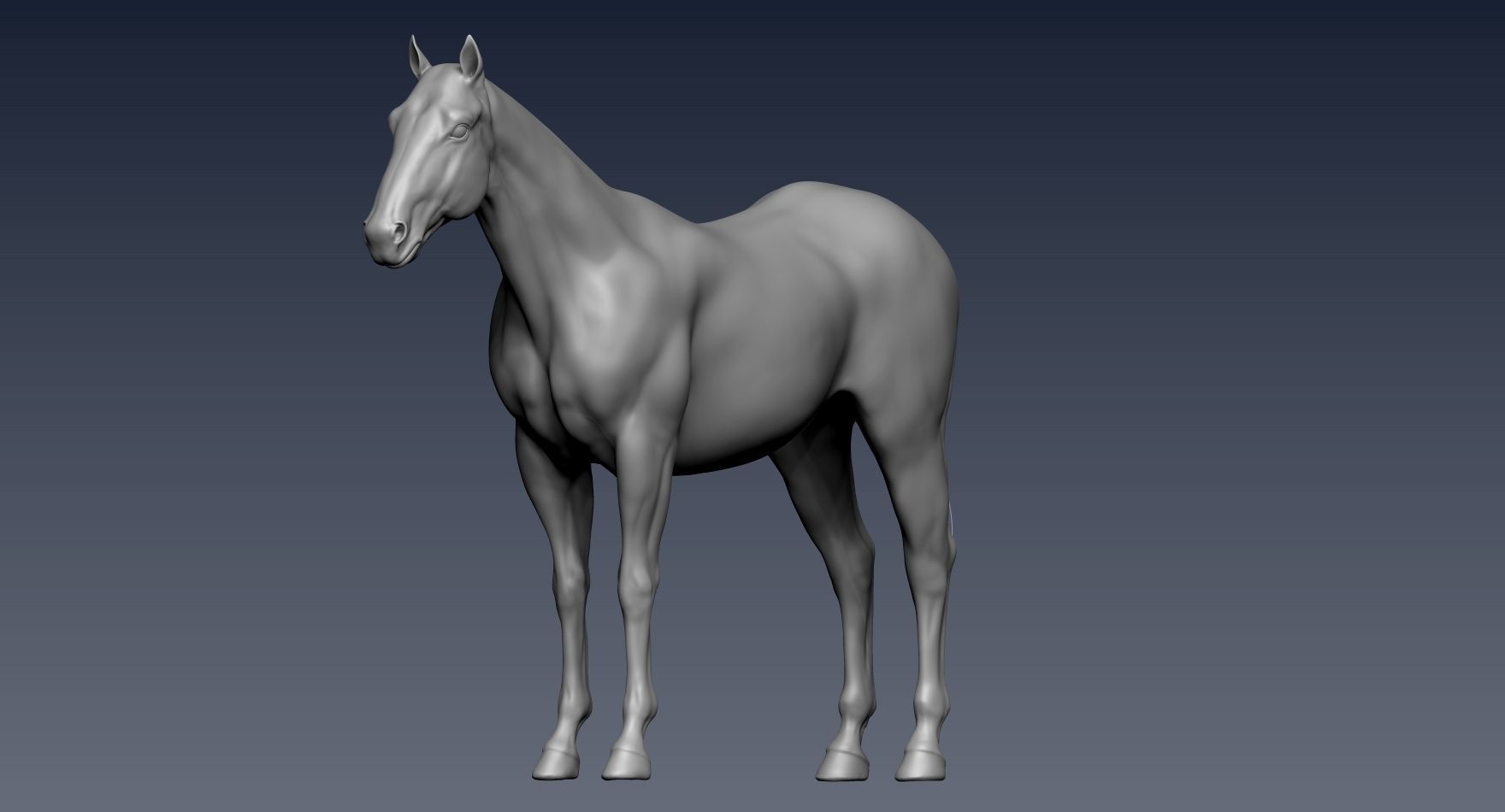 Realistic Horse Zbrush File 3D model_8