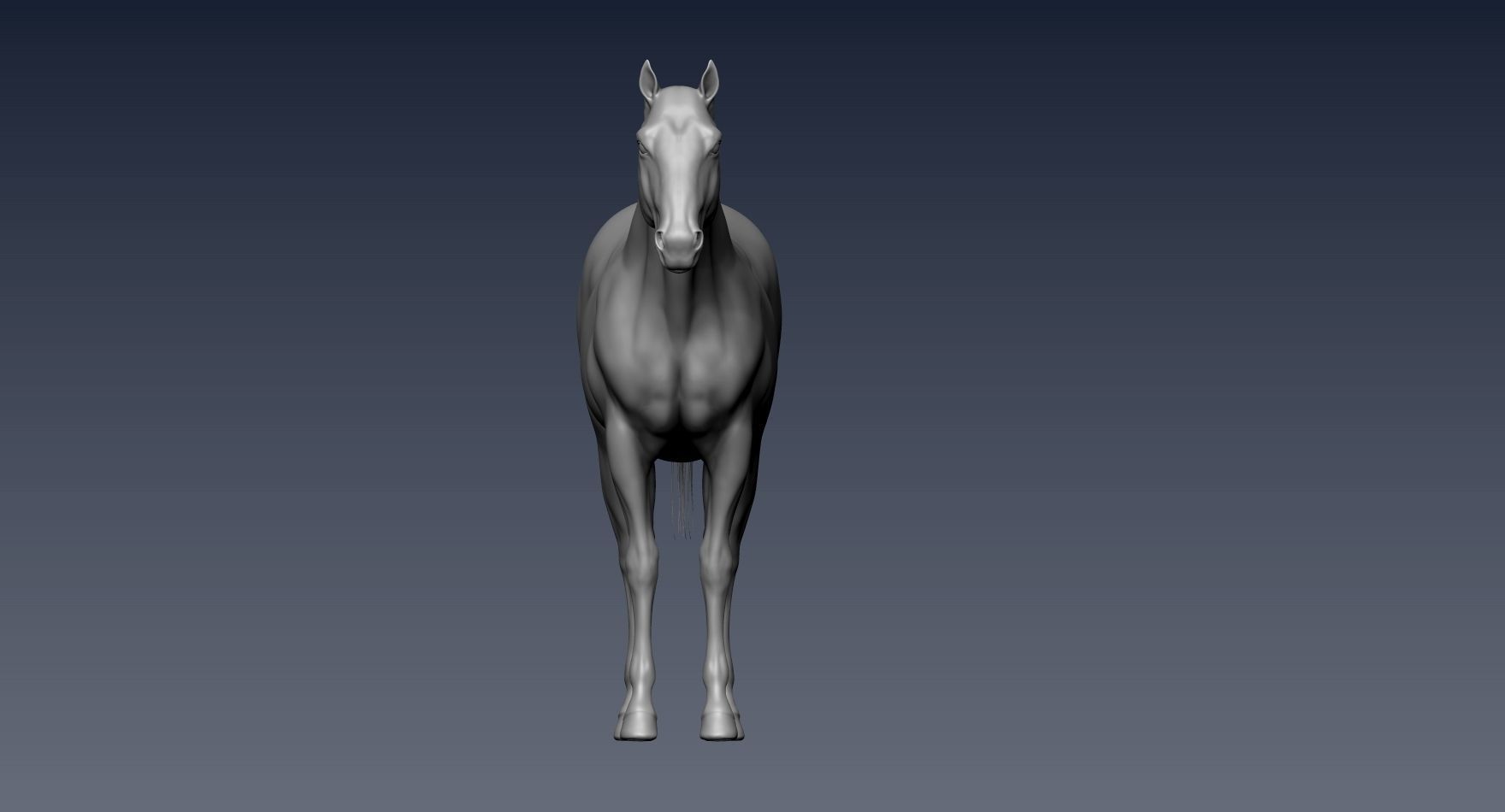 Realistic Horse Zbrush File 3D model_11